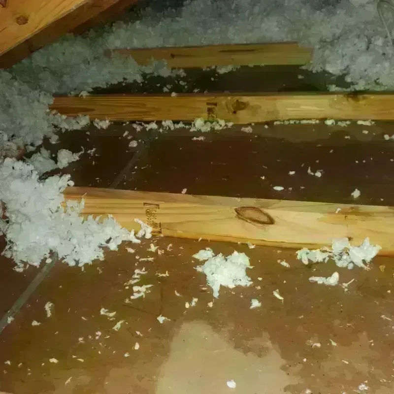 Attic Water Damage in Highland, IN